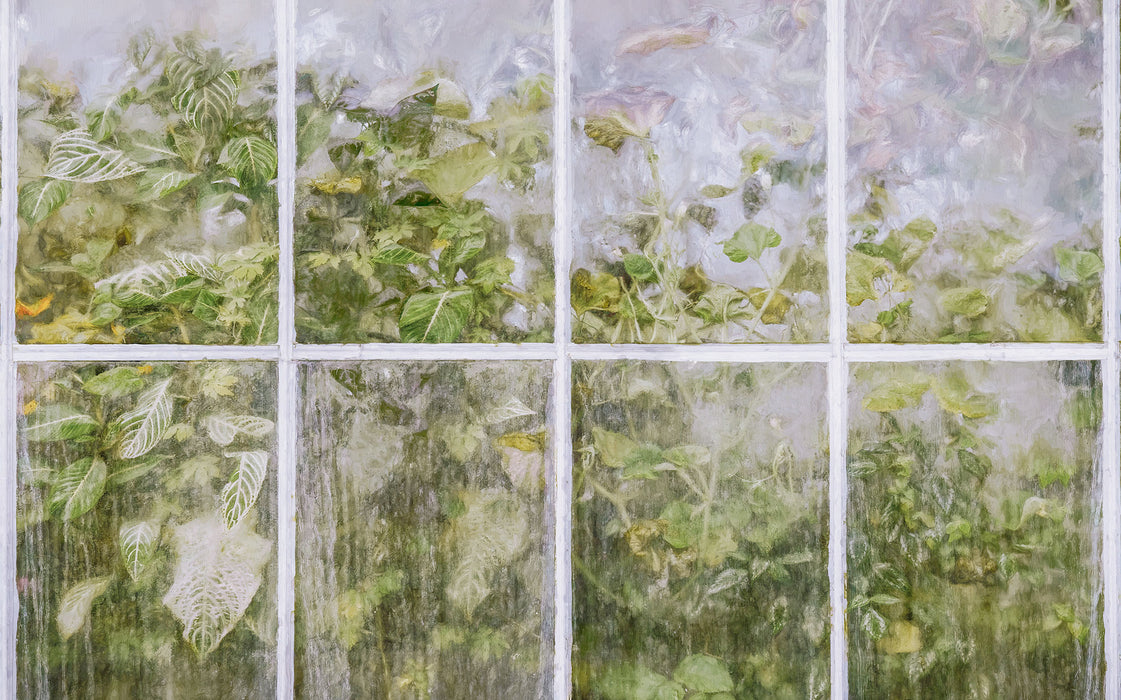 Komar NEU | Digitaldruck Vlies Fototapete - Secret Stash - Größe 400 x 250 cm