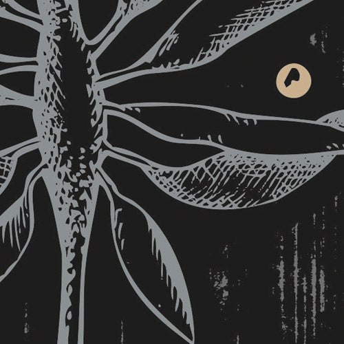 Komar NEU | Digitaldruck Vlies Fototapete - Deep Delight - Größe 500 x 250 cm