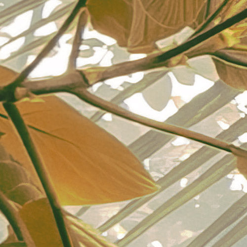 Komar NEU | Digitaldruck Vlies Fototapete - Palms Panorama - Größe 300 x 250 cm