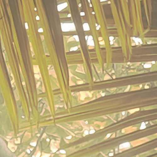 Komar NEU | Digitaldruck Vlies Fototapete - Palms Panorama - Größe 300 x 250 cm