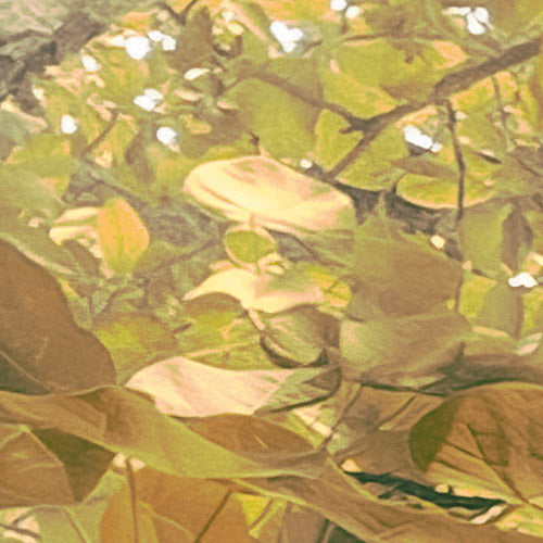 Digitaldruck Vlies Fototapete | Palms Panorama | 300 x 250 cm