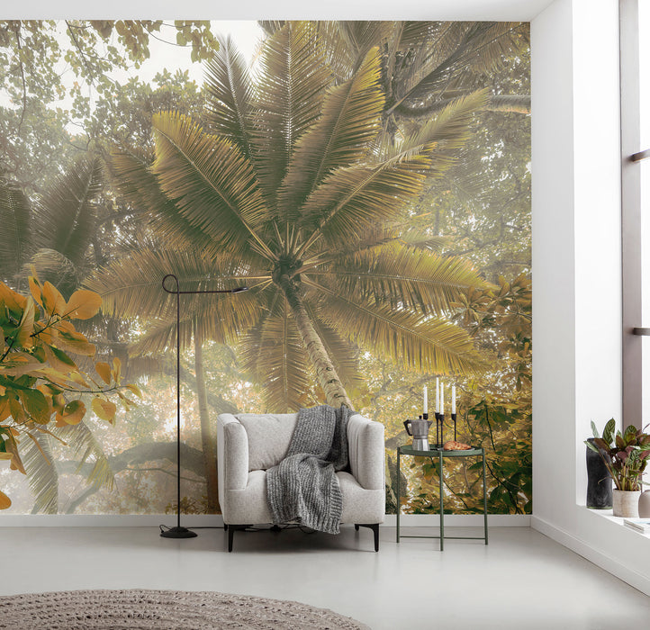 Digitaldruck Vlies Fototapete | Palms Panorama | 300 x 250 cm