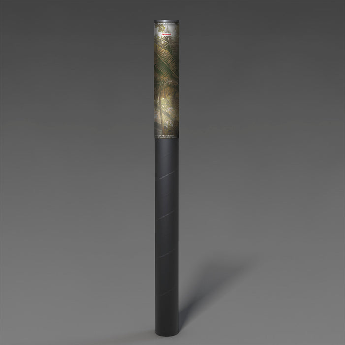 Komar NEU | Digitaldruck Vlies Fototapete - Palms Panorama - Größe 300 x 250 cm