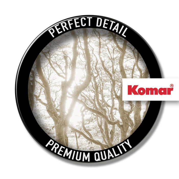 Komar NEU | Digitaldruck Vlies Fototapete - Bleached Birch - Größe 400 x 250 cm