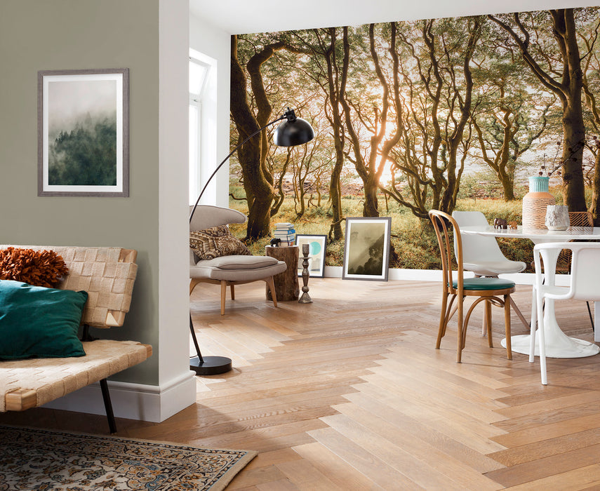 Digitaldruck Vlies Fototapete | Bold Birch | 400 x 250 cm