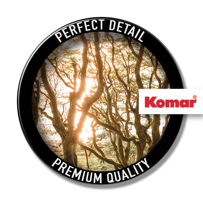 Komar NEU | Digitaldruck Vlies Fototapete - Bold Birch - Größe 400 x 250 cm