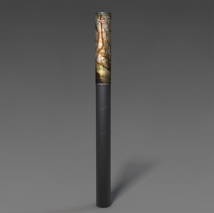 Komar NEU | Digitaldruck Vlies Fototapete - Bold Birch - Größe 400 x 250 cm