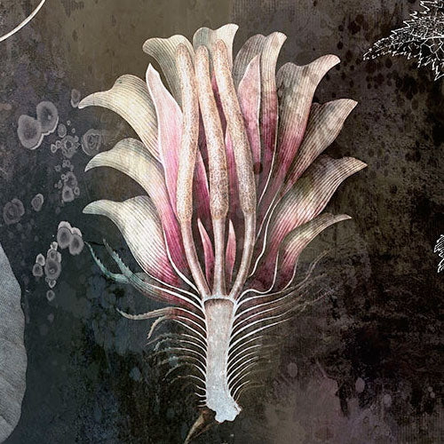 Digitaldruck Vlies Fototapete | Night Flowers | 200 x 280 cm