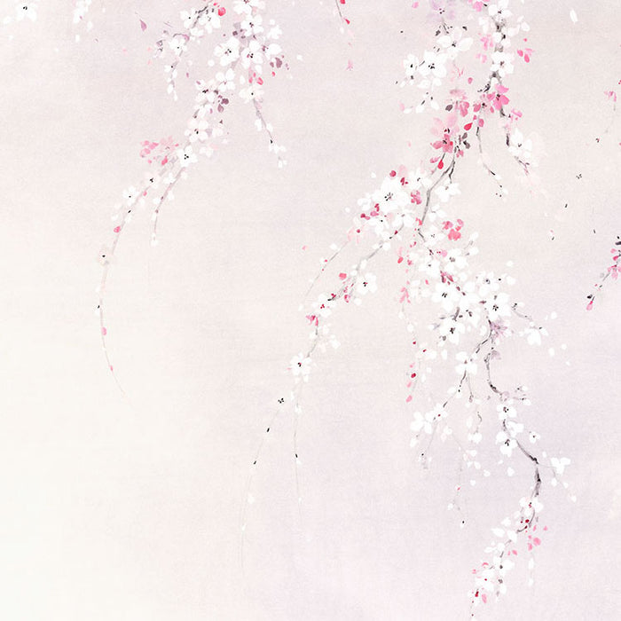 Digitaldruck Vlies Fototapete | Kirschblüten | 300 x 280 cm