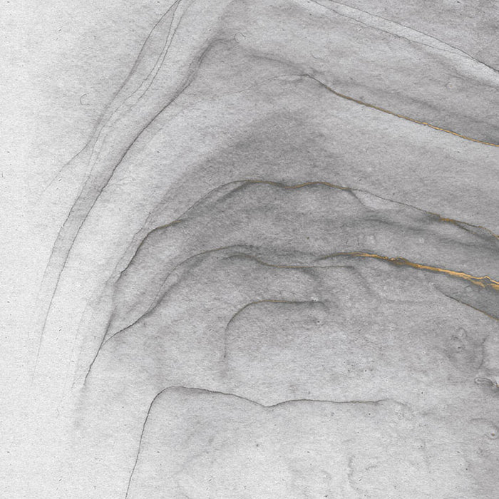 Digitaldruck Vlies Fototapete | Ink Gold Flow | 300 x 280 cm