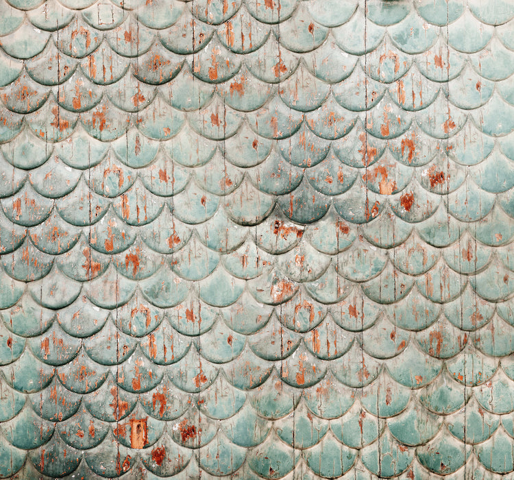 Digitaldruck Vlies Fototapete | Antique | 300 x 280 cm