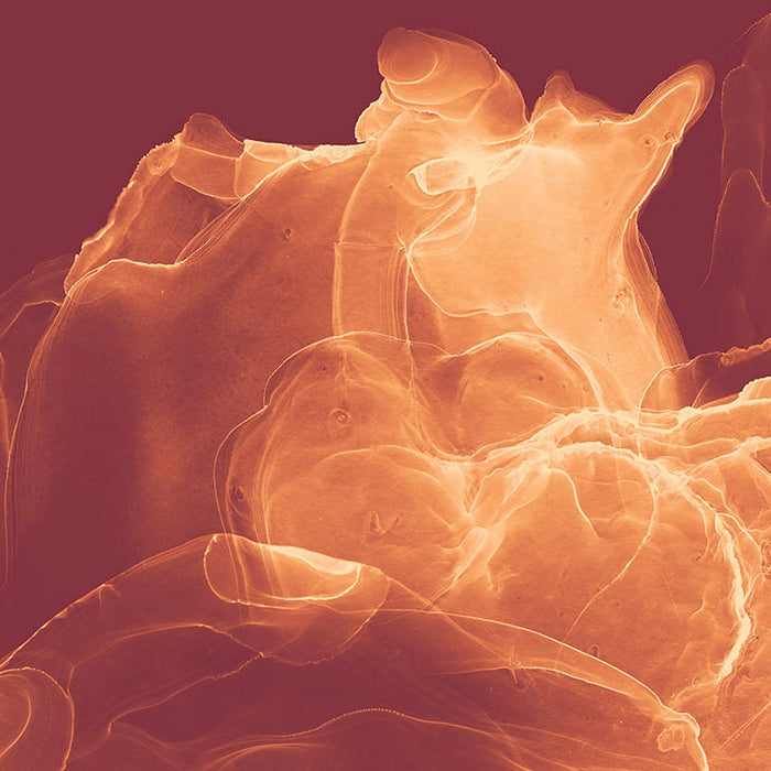 Digitaldruck Vlies Fototapete | Evoke | 400 x 280 cm