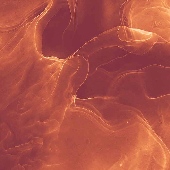 Digitaldruck Vlies Fototapete | Evoke | 400 x 280 cm
