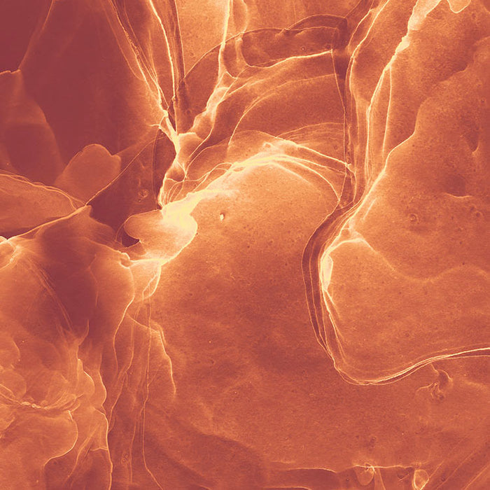 Digitaldruck Vlies Fototapete | Evoke | 400 x 280 cm