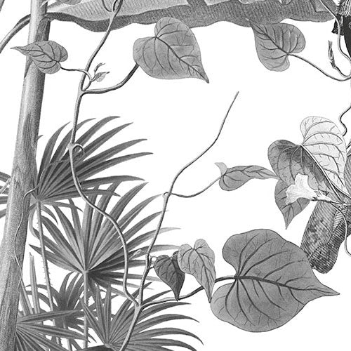 Digitaldruck Vlies Fototapete | Croissances Monochrome | 400 x 280 cm