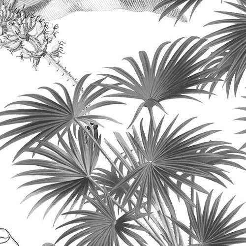 Digitaldruck Vlies Fototapete | Croissances Monochrome | 400 x 280 cm