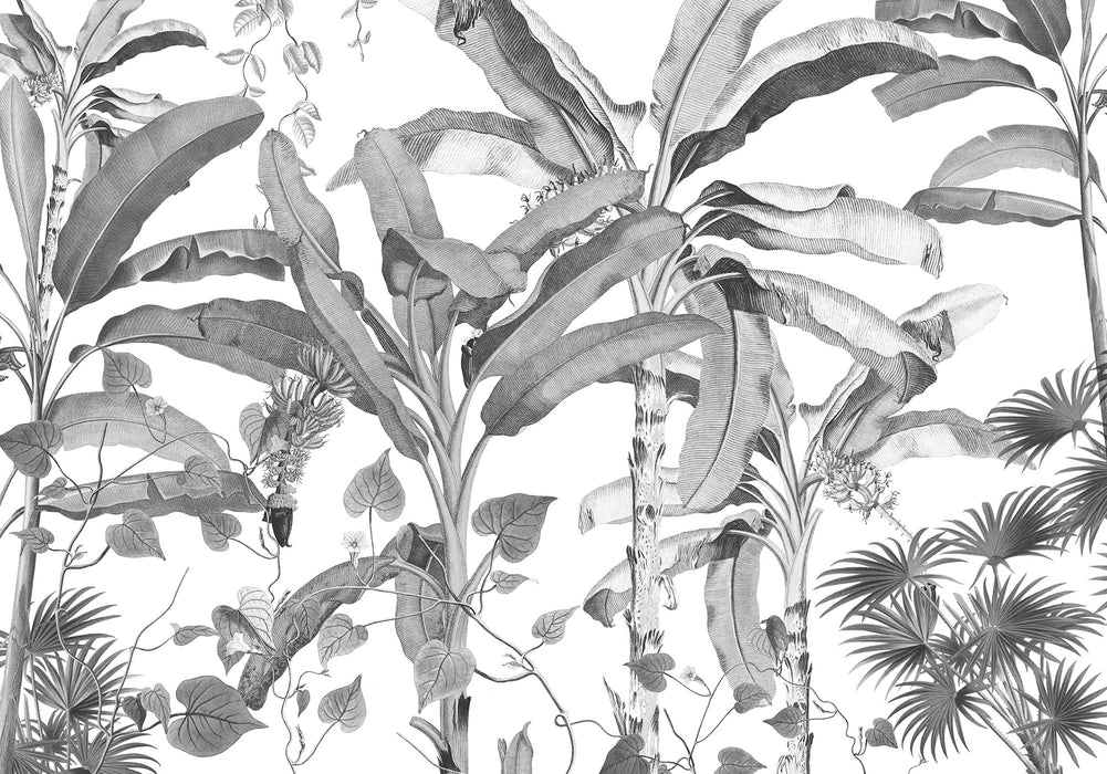 Digitaldruck Vlies Fototapete | Croissances Monochrome | 400 x 280 cm