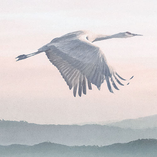 Digitaldruck Vlies Fototapete | Mystic Cranes | 400 x 280 cm