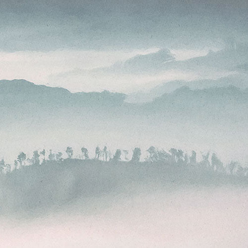 Digitaldruck Vlies Fototapete | Mystic Cranes | 400 x 280 cm