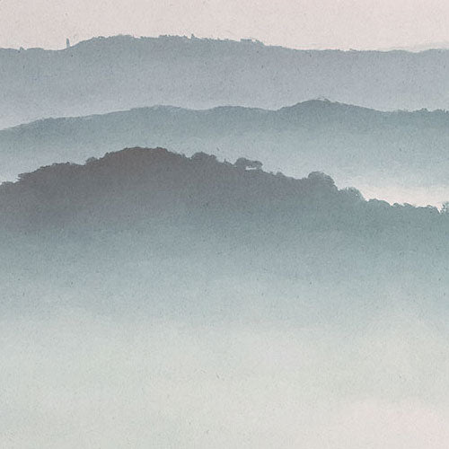Digitaldruck Vlies Fototapete | Mystic Cranes | 400 x 280 cm