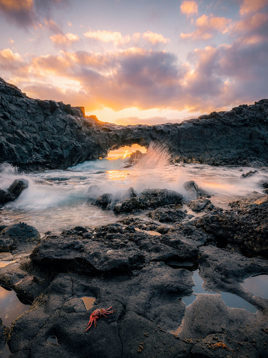 Komar NEU | Keilrahmenbild - Golden Eye - Größe 30 x 40 cm