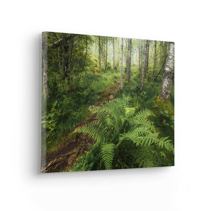 Keilrahmenbild | Mystic Birch Grove | 40 x 30 cm