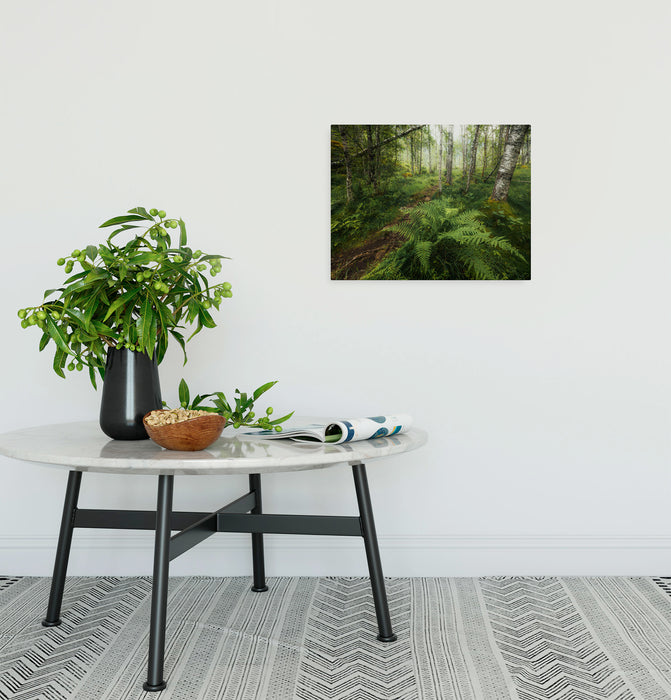 Keilrahmenbild | Mystic Birch Grove | 40 x 30 cm