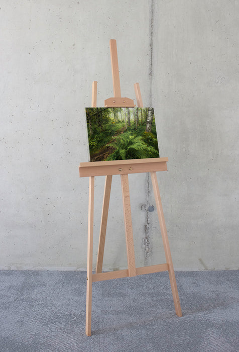 Keilrahmenbild | Mystic Birch Grove | 40 x 30 cm