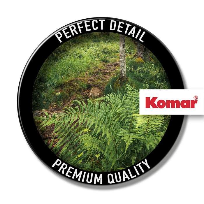 Komar NEU | Keilrahmenbild - Mystic Birch Grove - Größe 40 x 30 cm