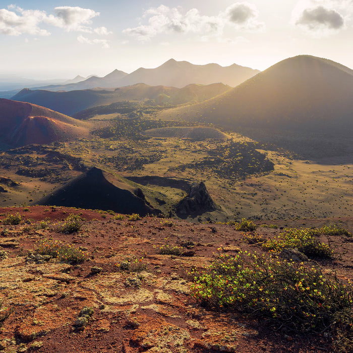 Komar NEU | Keilrahmenbild - Coloured Earth - Größe 40 x 40 cm