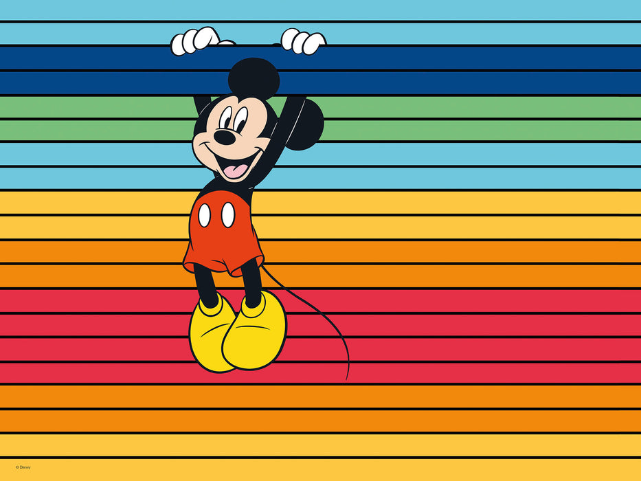 Keilrahmenbild | Mickey Band of Color | 30 x 40 cm