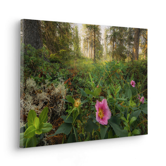 Komar NEU | Keilrahmenbild - Charming Woods - Größe 60 x 40 cm