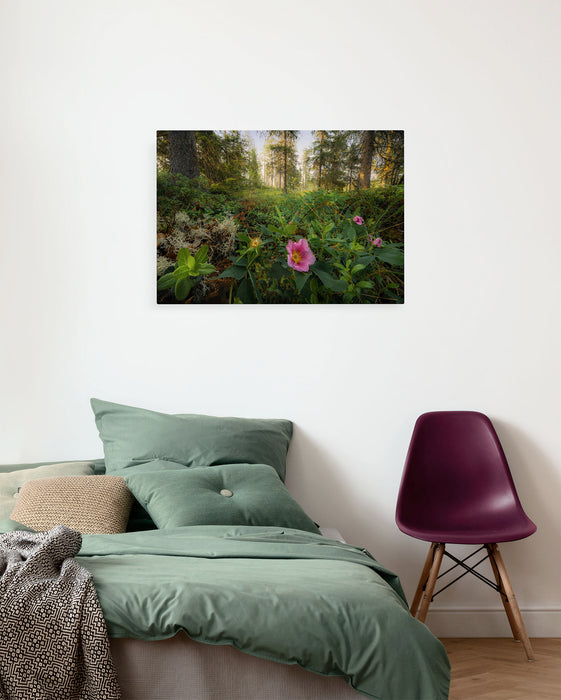 Komar NEU | Keilrahmenbild - Charming Woods - Größe 60 x 40 cm