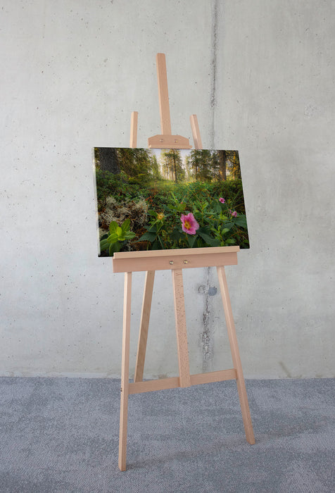 Keilrahmenbild | Charming Woods | 60 x 40 cm