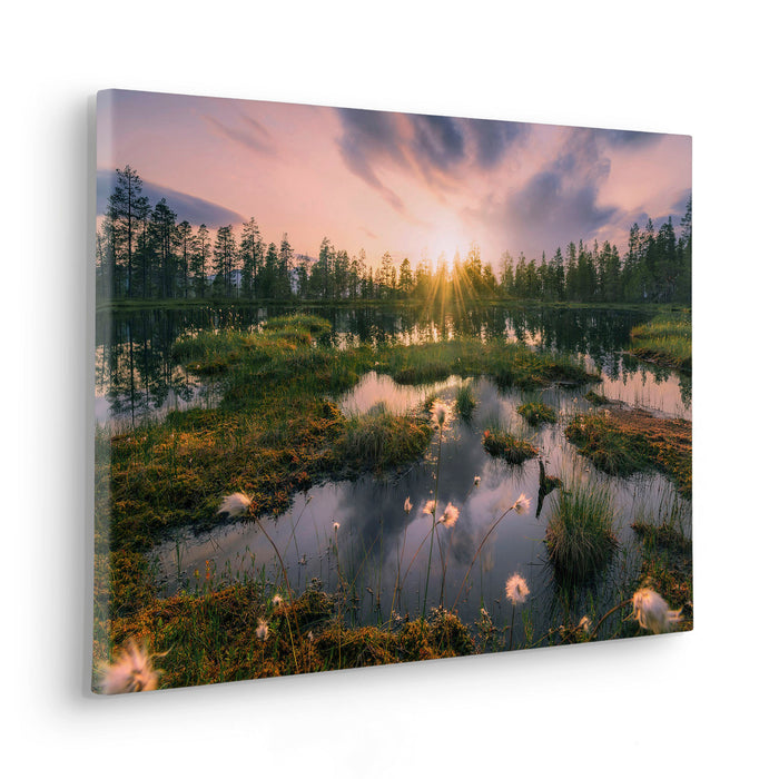 Keilrahmenbild | Gloomy Swamps | 60 x 40 cm