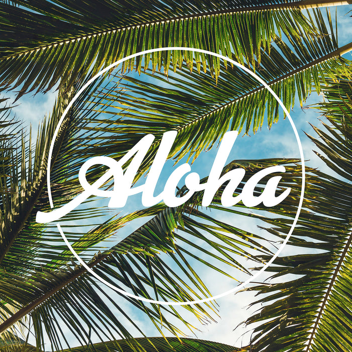 Komar NEU | Keilrahmenbild - Holy Island - Größe 30 x 30 cm