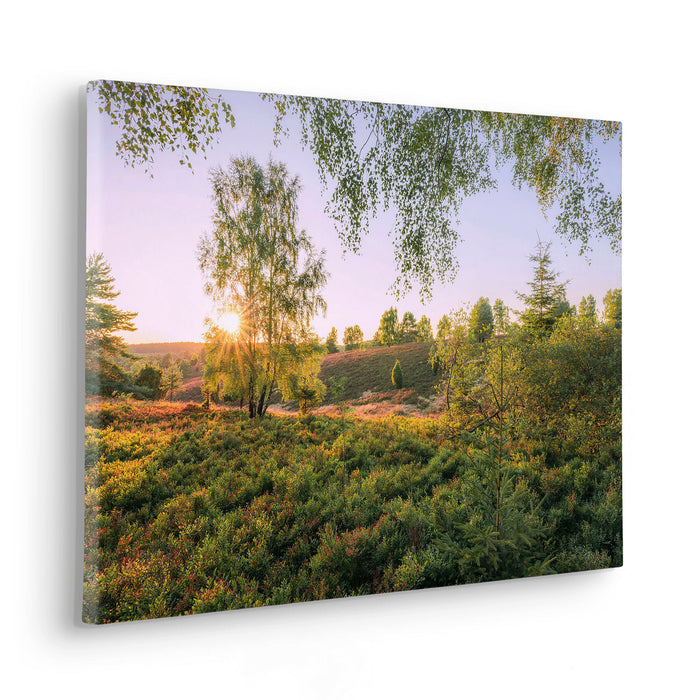 Keilrahmenbild | Sommerabend | 60 x 40 cm