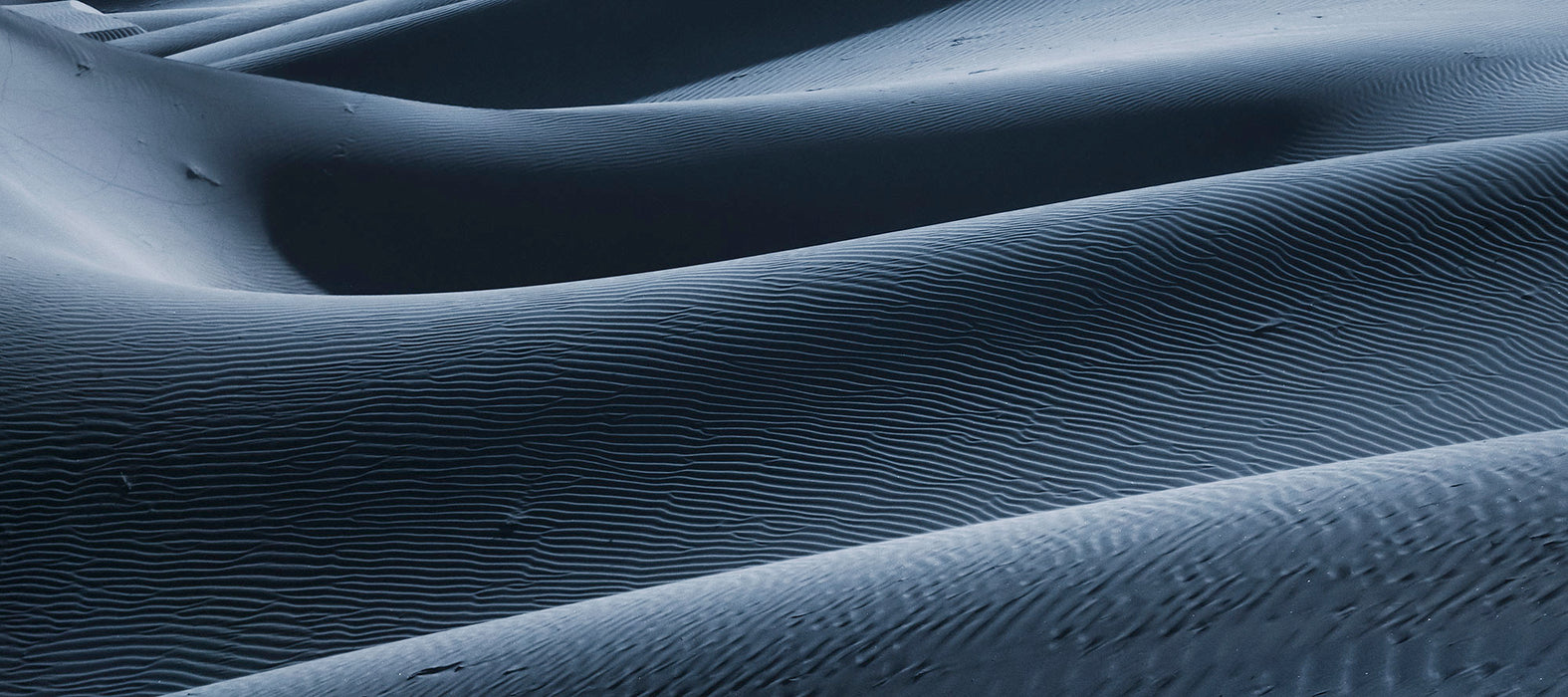 Komar NEU | Keilrahmenbild - Shapeshifter - Größe 90 x 40 cm