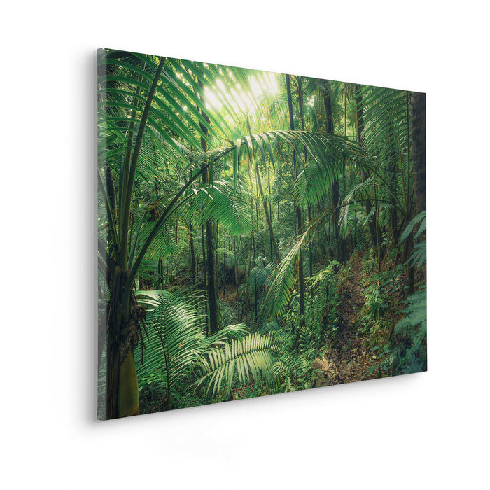 Komar NEU | Keilrahmenbild - Jungleflair - Größe 90 x 60 cm