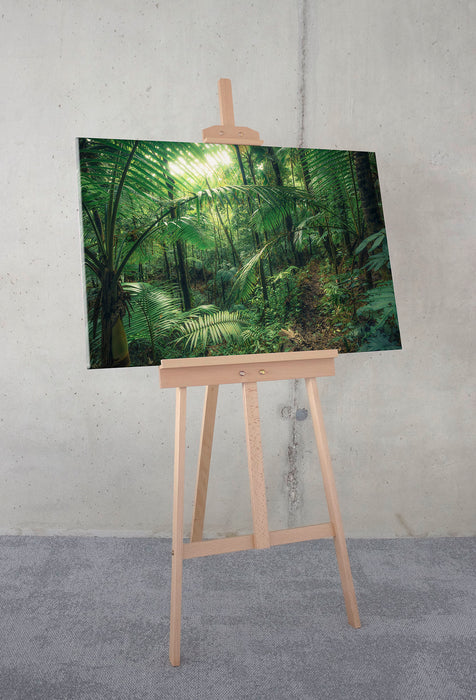 Komar NEU | Keilrahmenbild - Jungleflair - Größe 90 x 60 cm