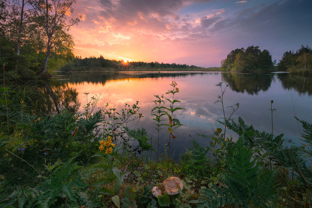 Komar NEU | Keilrahmenbild - Abends in Schweden - Größe 90 x 60 cm