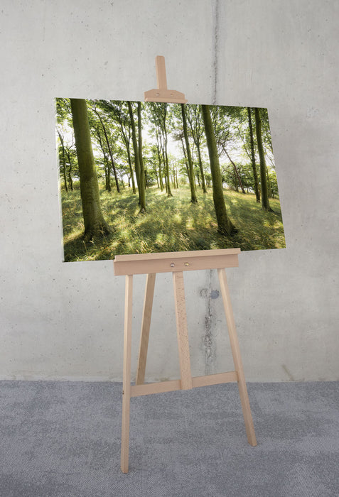 Keilrahmenbild | Dänische Buchen | 90 x 60 cm