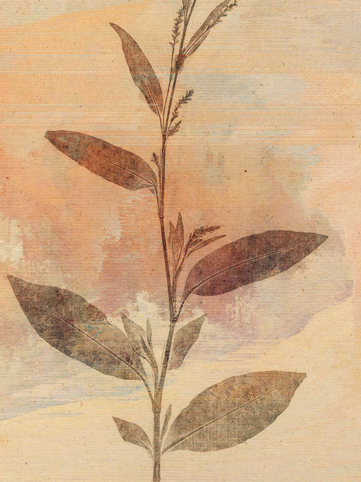 Komar NEU | Keilrahmenbild - Pressed Leaves - Größe 30 x 40 cm