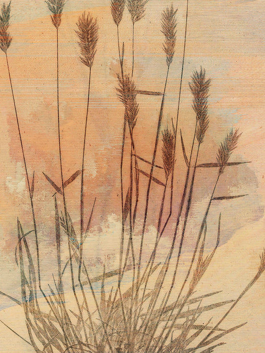 Komar NEU | Keilrahmenbild - Pressed Reed - Größe 30 x 40 cm