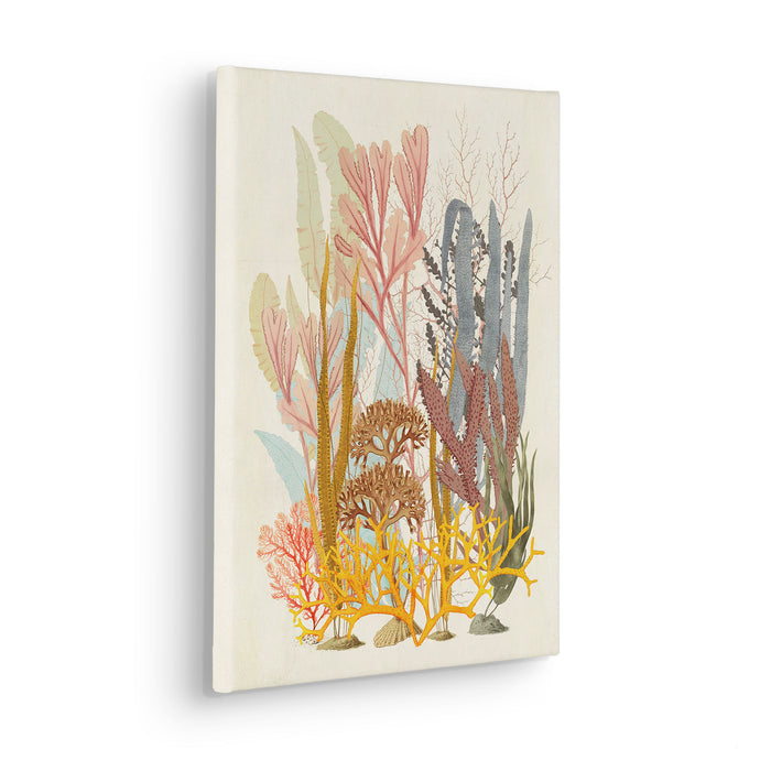 Keilrahmenbild | Coral Aqua | 30 x 40 cm
