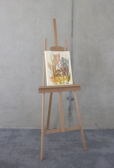 Keilrahmenbild | Coral Aqua | 30 x 40 cm