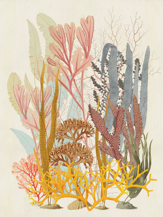 Keilrahmenbild | Coral Aqua | 30 x 40 cm