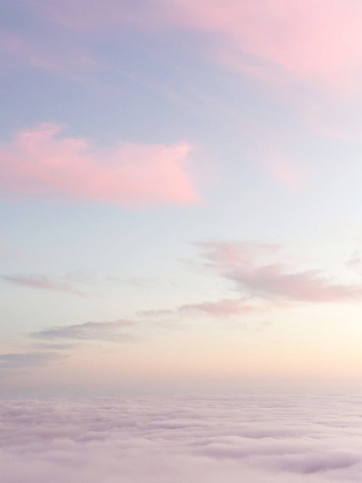 Komar NEU | Keilrahmenbild - Endless Rose - Größe 30 x 40 cm