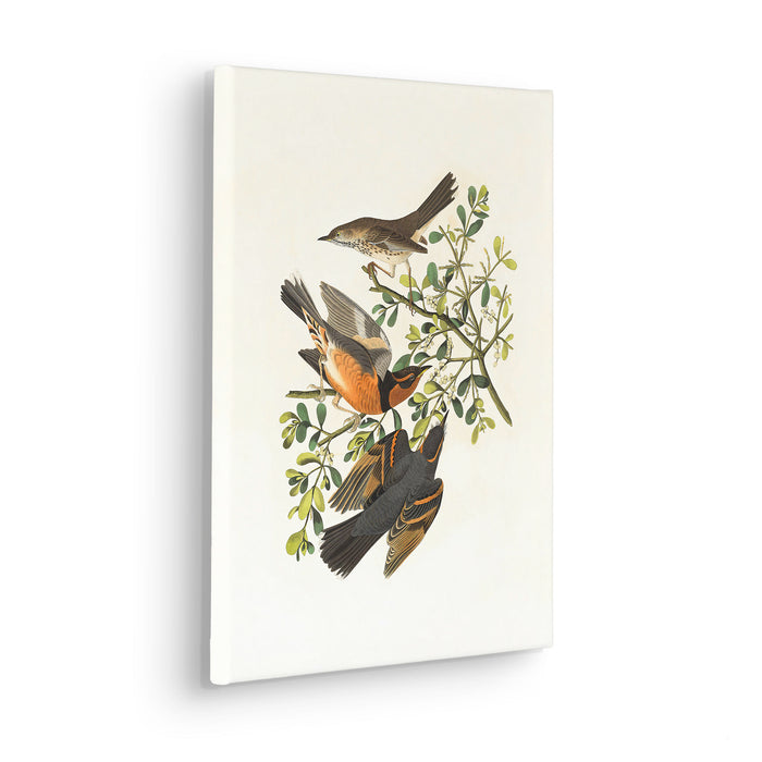 Keilrahmenbild | Heidi | 30 x 40 cm