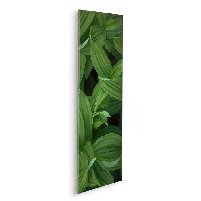 Keilrahmenbild | Ancilla | 30 x 90 cm